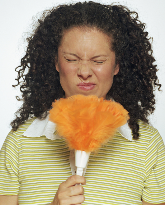 It's Almost Time for Spring Cleaning: Learn How You Can Do So Safely with Allergies