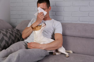 Tips for the Allergy Prone Pet Lover